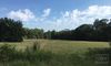 404 Highway 378 photo